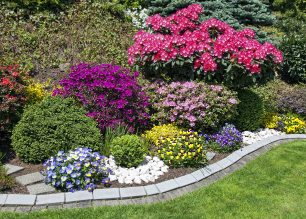 landscape design in racine