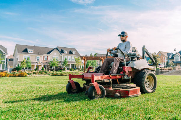 franklin lawn care franklin landscaping