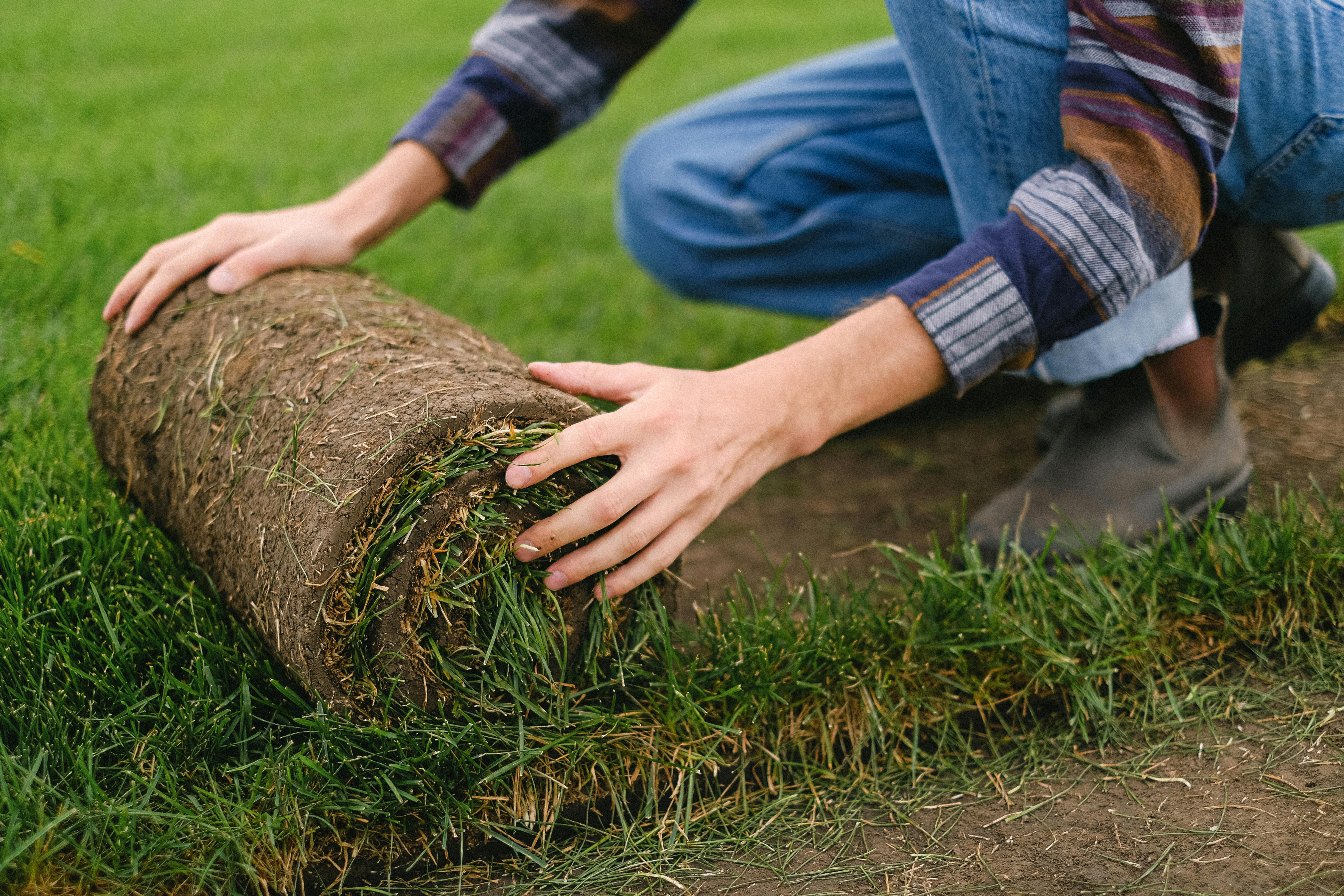 lawn care in mount pleasant