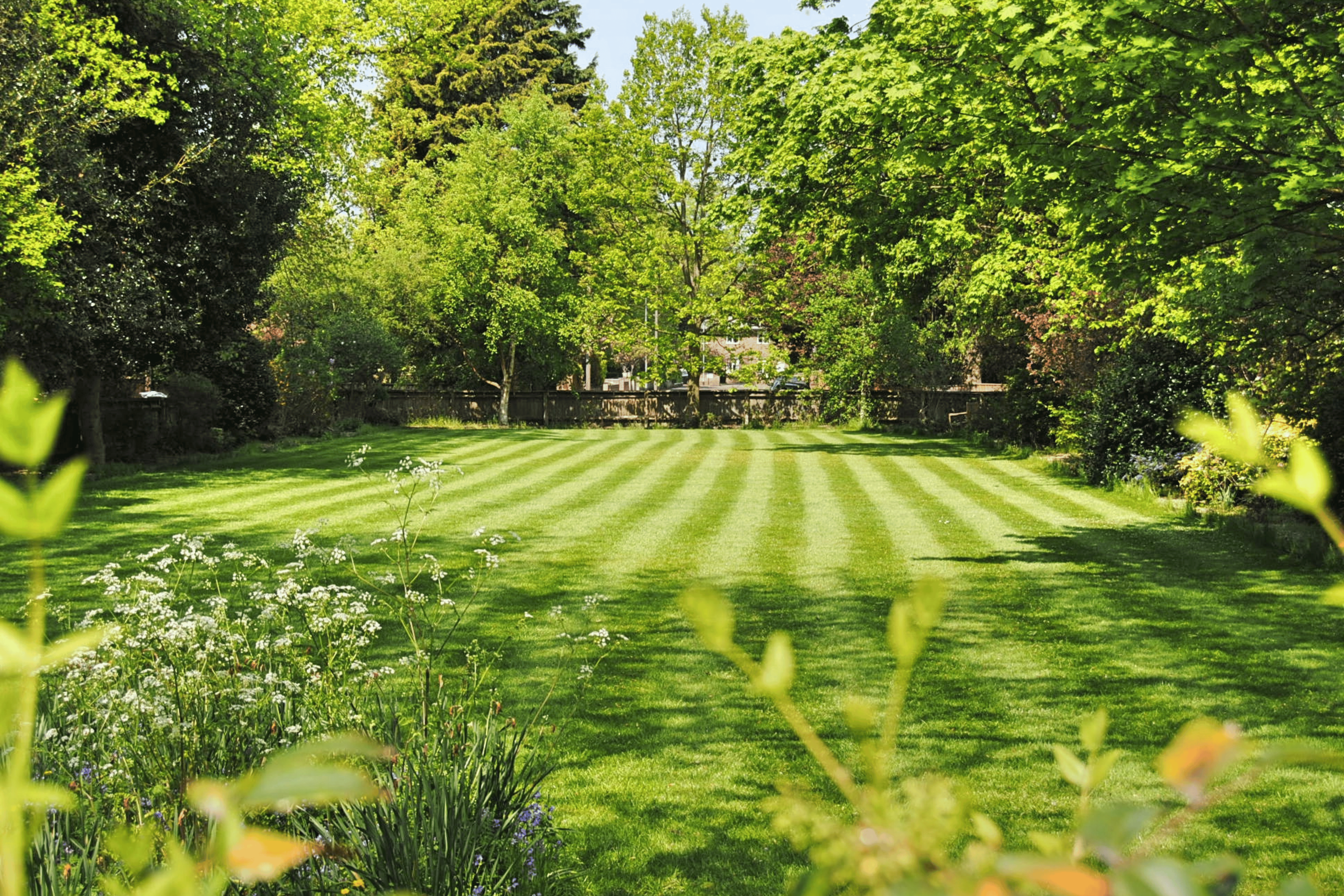 lawn mowing racine